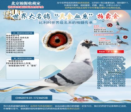 �������漣��š�X���¸��׵���Ů��19-1723605��