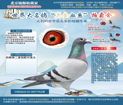 �����Ҳ�����199��X��˫��098��23-0977762��