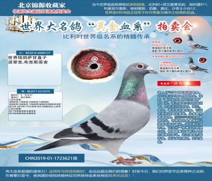 ������ֱ�ӡ������ض���X���ұȶ���19-1723621��