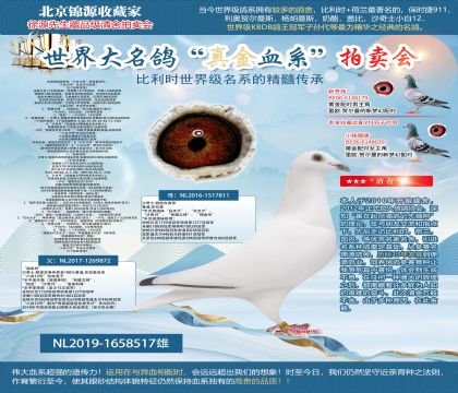 �����ǳ�����ĸ��С��12�š���˫�����