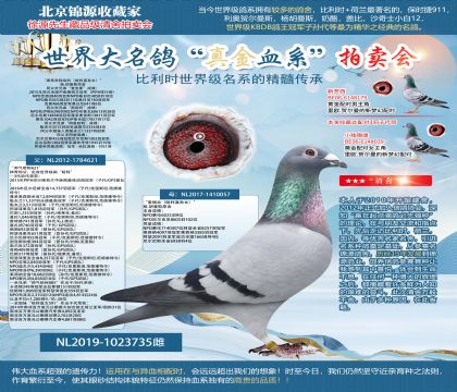 ��.����˹ԭ�ᡰƯ���������������ֱ��Ů����