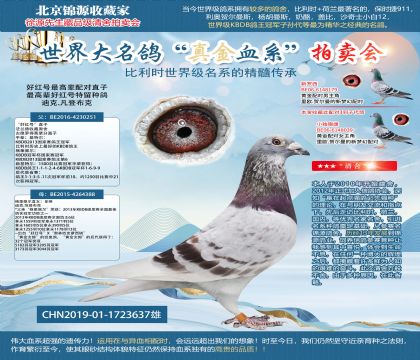 �ú����߱����ֱ��19-1723637��