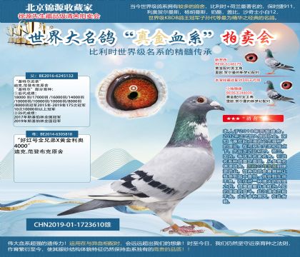 ����132���ú��ȫ�ֵ�x�ƽ����¡�19-1723610��