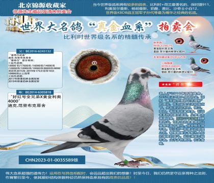 ����132���ú��ȫ�ֵ�x�ƽ����¡�23-0035589��