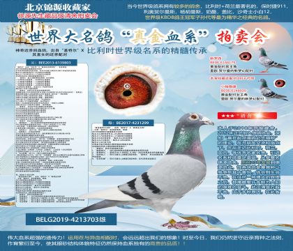 �������ղ�ԭ��-�׻�Ѫ�룬�����ض���X��ֱŮ