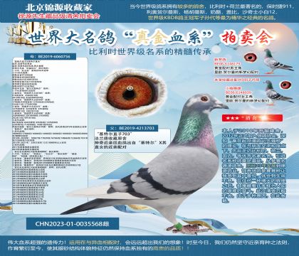 �������ض���703��X756���ػ�Ѫ23-0035568��