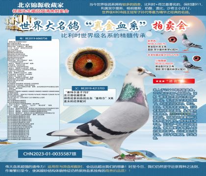 �������ض���703��X756���ػ�Ѫ23-0035587��