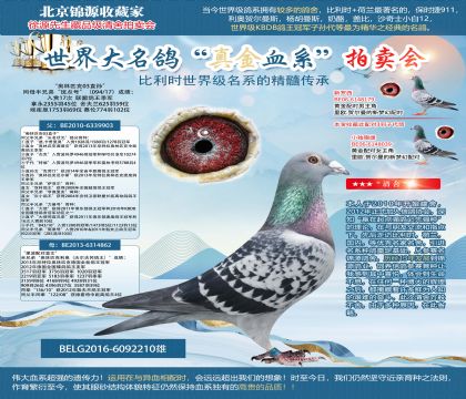 ����ԭ�ᡰ����ƥ��03ֱ�