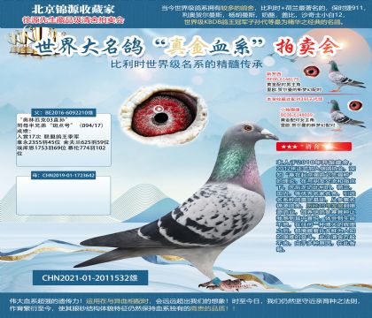 ����21-2011532��