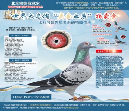 ���µ�һ�������ֱ��19-1723646��