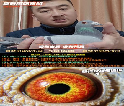 《基特尔超级近亲》基特尔回血003