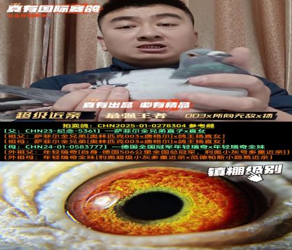 《超级近亲顶级遗传》003x所向无敌x扬