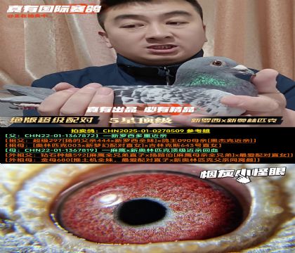 《绝版超级配对》新罗西x新奥林匹克