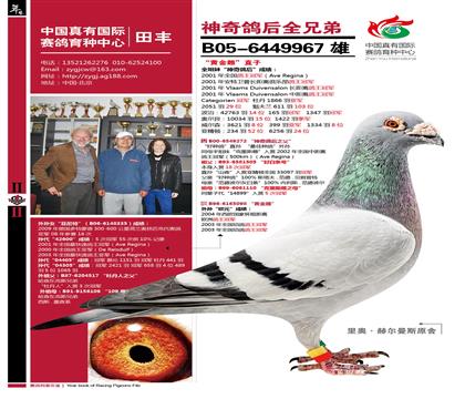 超级967-神奇鸽后全兄弟