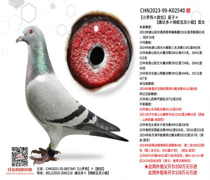 3母亲CHN2023-99-K02540