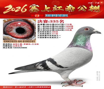 塞上江南决赛335名