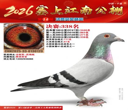 塞上江南决赛338名