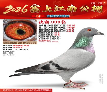 塞上江南决赛339名