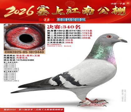 塞上江南决赛340名