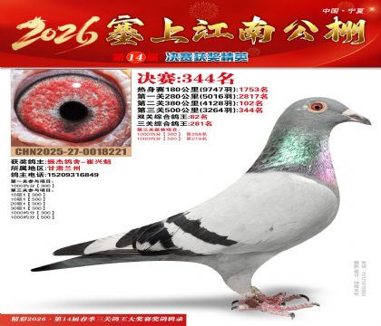 塞上江南决赛344名