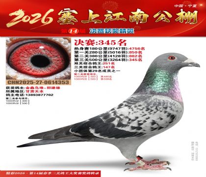 塞上江南决赛345名