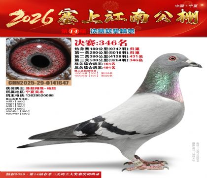 塞上江南决赛346名