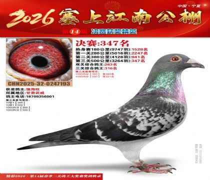 塞上江南决赛347名