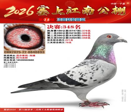 塞上江南决赛348名