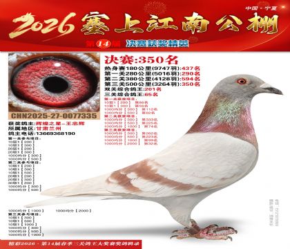 塞上江南决赛350名