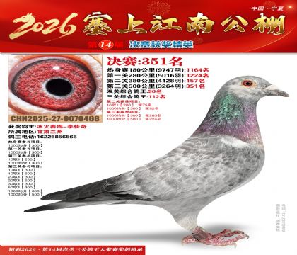 塞上江南决赛351名