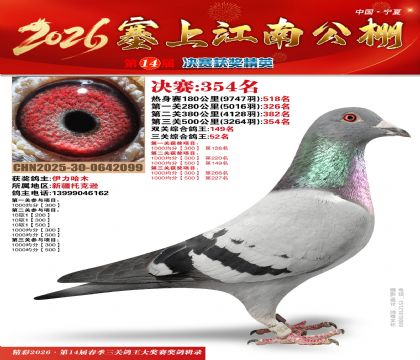 塞上江南决赛354名