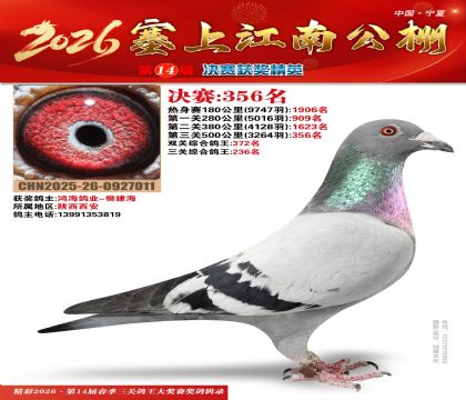 塞上江南决赛356名