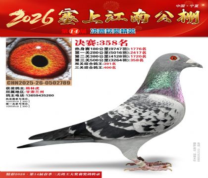 塞上江南决赛358名