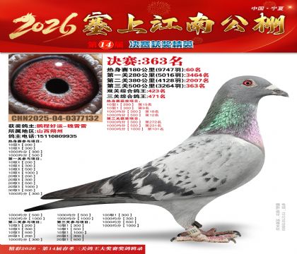 塞上江南决赛363名