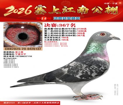 塞上江南决赛367名