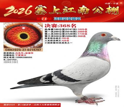 塞上江南决赛368名