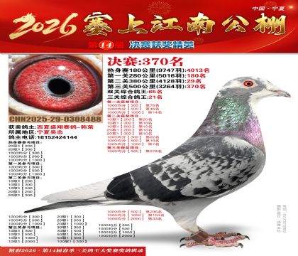 塞上江南决赛370名