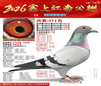 塞上江南决赛371名