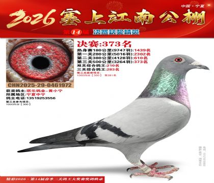 塞上江南决赛373名