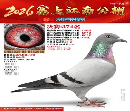 塞上江南决赛374名