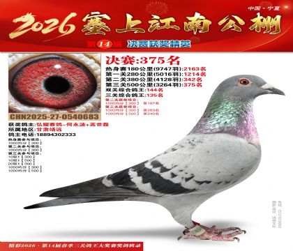 塞上江南决赛375名