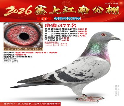 塞上江南决赛377名