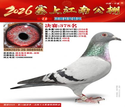 塞上江南决赛378名