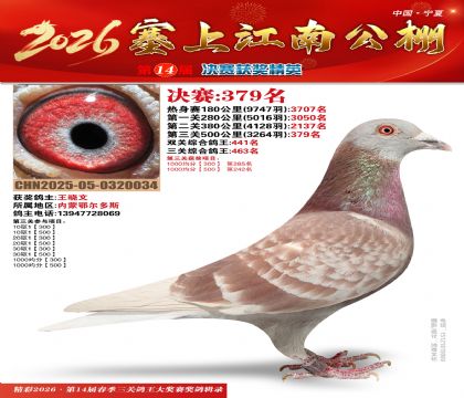 塞上江南决赛379名