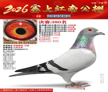 塞上江南决赛380名