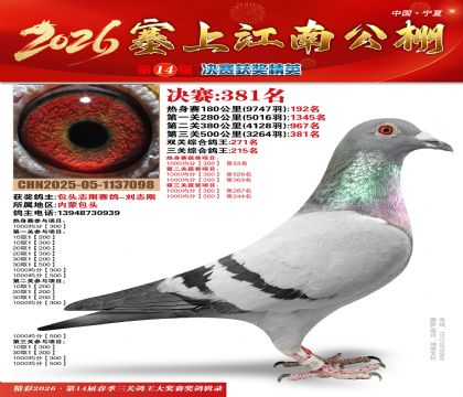 塞上江南决赛381名