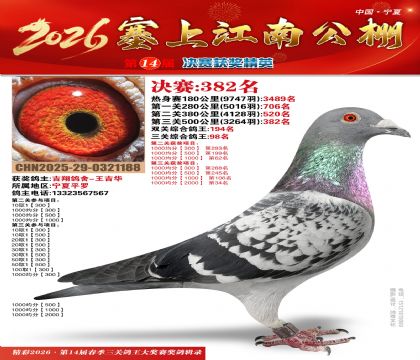 塞上江南决赛382名