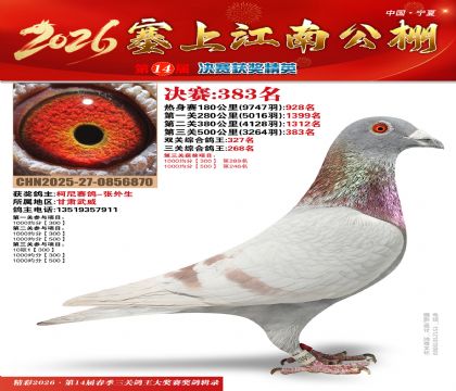 塞上江南决赛383名