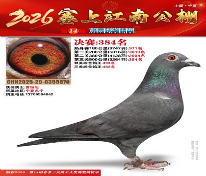 塞上江南决赛384名