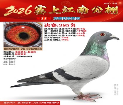 塞上江南决赛385名